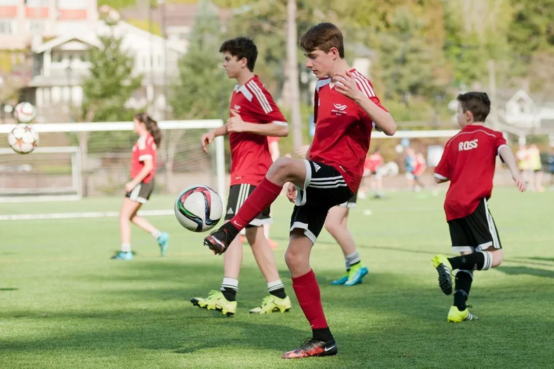 leyu·乐鱼体育官方网站-APP下载