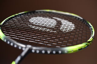Leyu Sport登录入口-体育智能穿戴设备对运动表现的影响分析，智能穿戴设备的目的是什么
