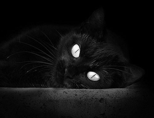 Leyu Sports (乐鱼体育)-西甲球队采用情绪曲线预测模型调整下半场进攻强度