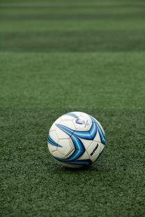 Leyu Sports (乐鱼体育)-高校体育场馆开放管理与使用效率提升策略,高校体育场馆对外开放的意义 第3张 Leyu Sports (乐鱼体育)-高校体育场馆开放管理与使用效率提升策略,高校体育场馆对外开放的意义 第3张