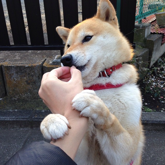 leyu.com-CS职业圈传出新风向战术理解再度更新，cs战术思路