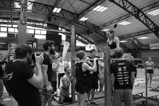 Leyu Sport登录入口-“水上芭蕾与游泳较量：2025世界游泳锦标赛掀起观赛热潮”