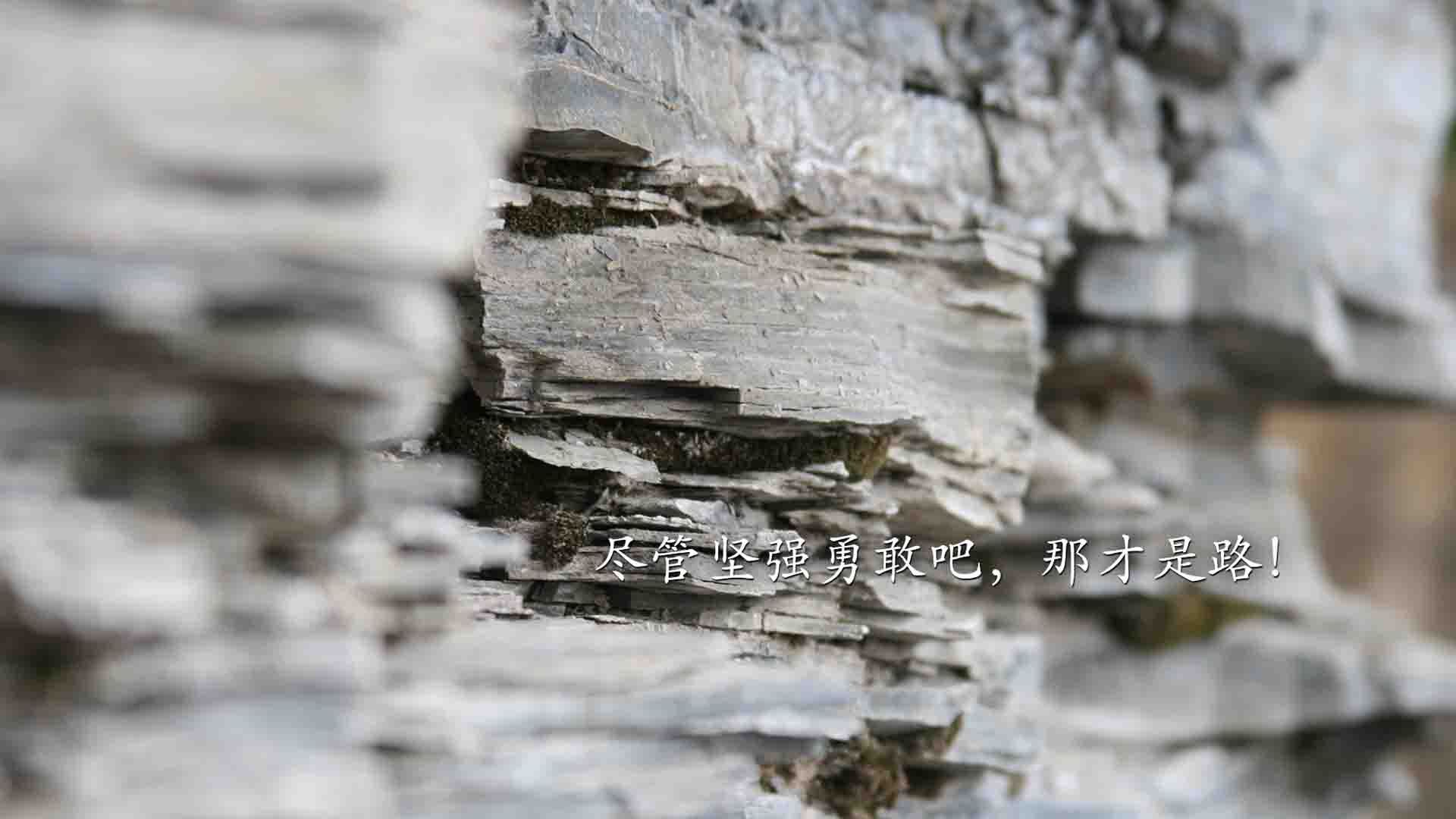 Leyu Sport登录入口-“羽毛球：简阳文体中心赛场高速对决，赛点难分难解”