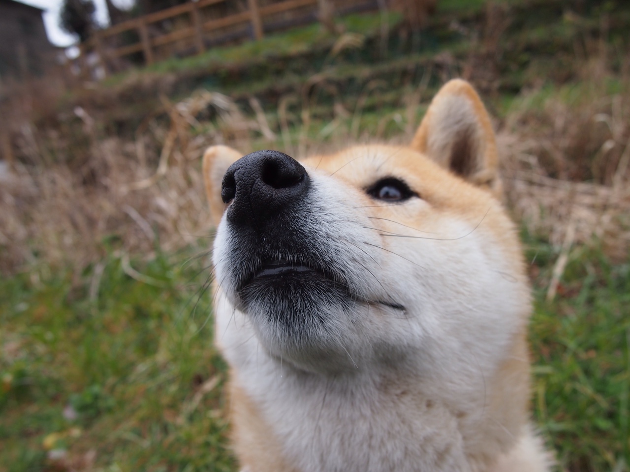 乐鱼体育平台app下载-世界杯中国青年队战平 球迷鼓励继续努力，世界杯中国人