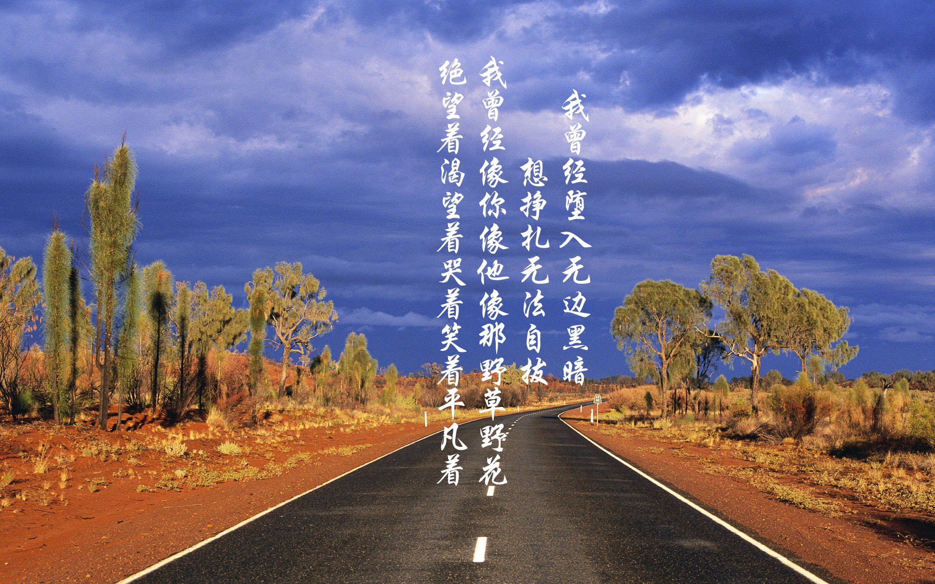 下载乐鱼体育APP-中国篮球品牌建设为何无法出圈国际视野，中国篮球运动品牌