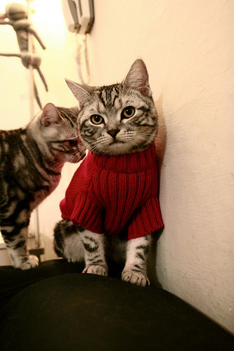 Leyu Sport下载-中国香港队未来发展：如何通过国际交流推动技术革新与提升，香港队伍