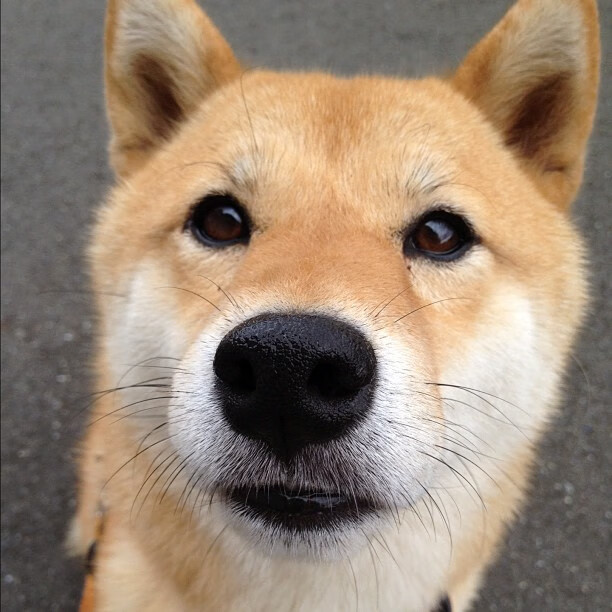 下载乐鱼体育APP-体育营销峰会探讨品牌跨界合作趋势，中国体育营销创新案例