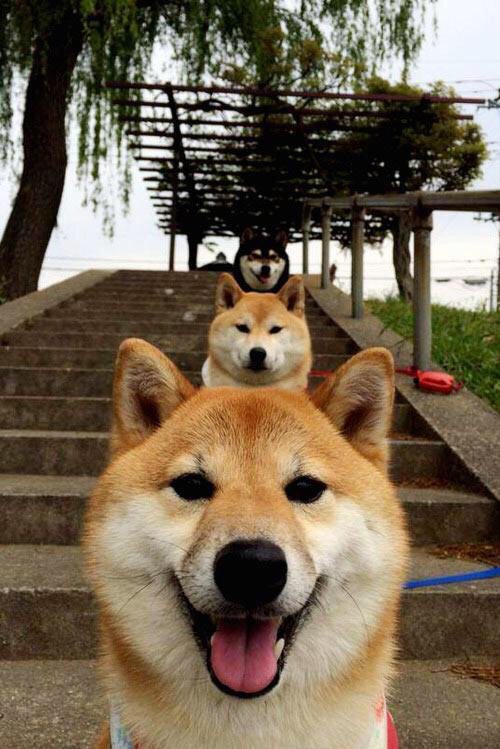 Leyu Sport下载-兴隆湖水上盛事，马拉松再添新章，兴隆湖2021