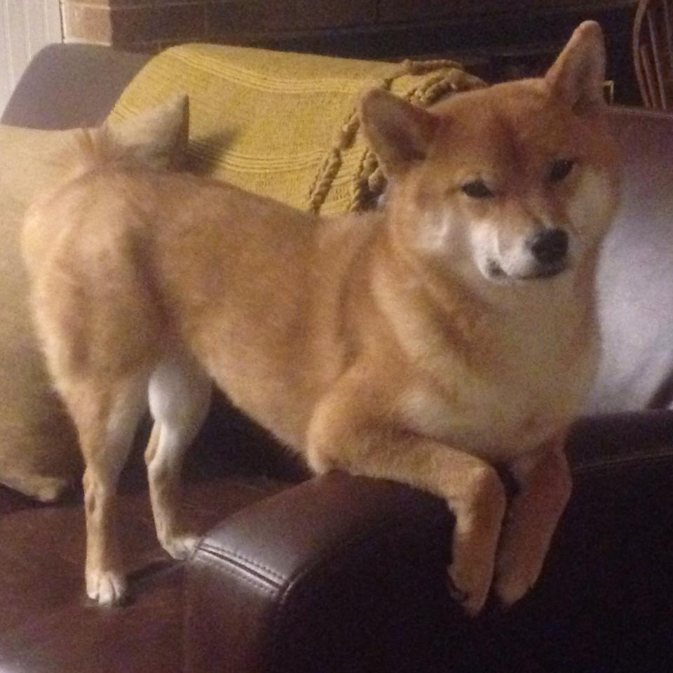 LeyuSports-出发反应时间优于组内平均水平