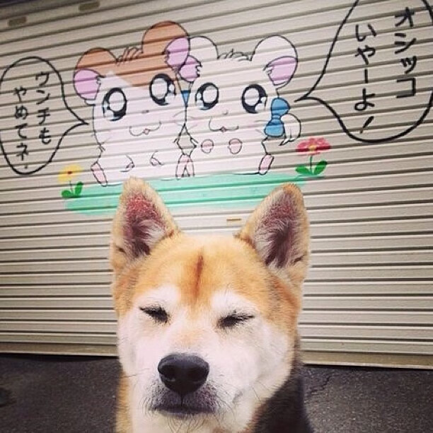 乐鱼（中国）体育官方网站-勒沃库森快节奏控球切入禁区制造机会，勒沃库森首发