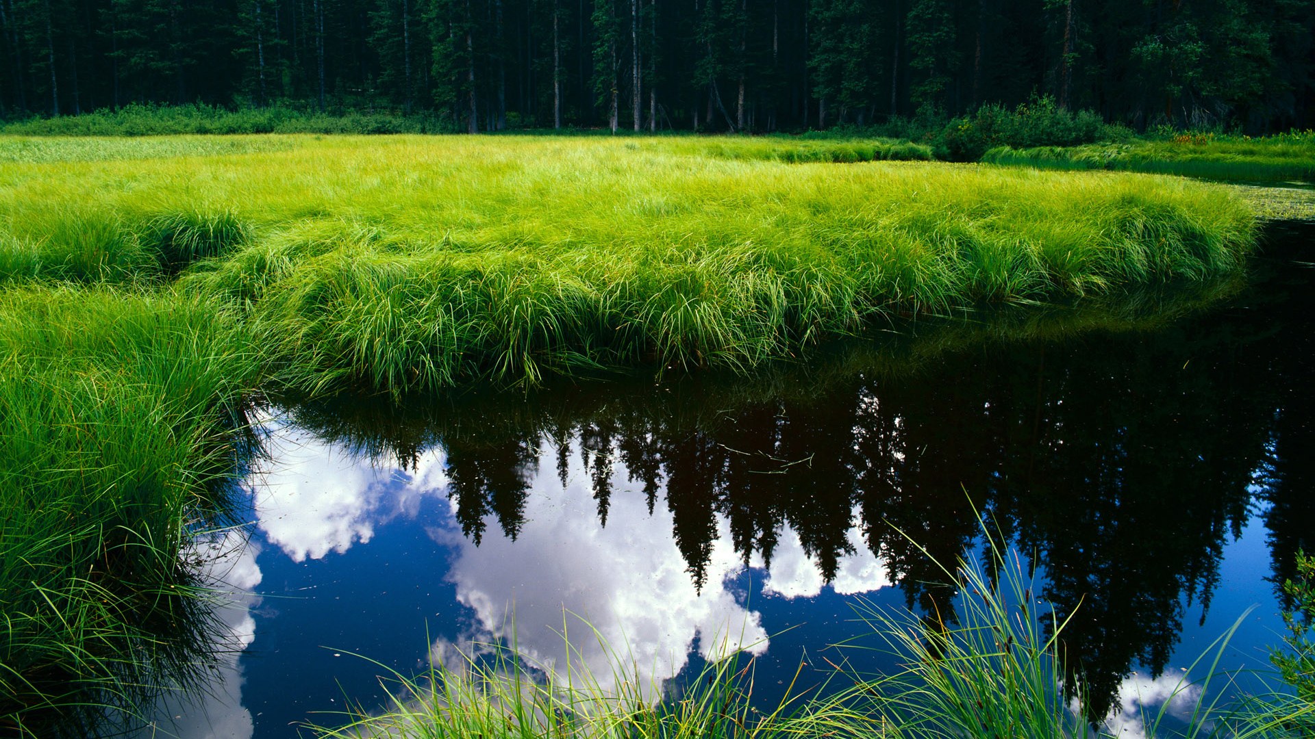 乐鱼电竞在线平台-基层足球场地资源严重短缺，建立足球场地国家有补助么