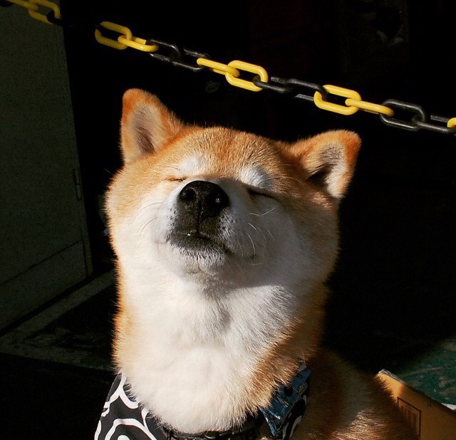 Leyu Sport登录入口-搏击教学视频走进监狱推广正能量体育理念，关于监狱搏击的电影