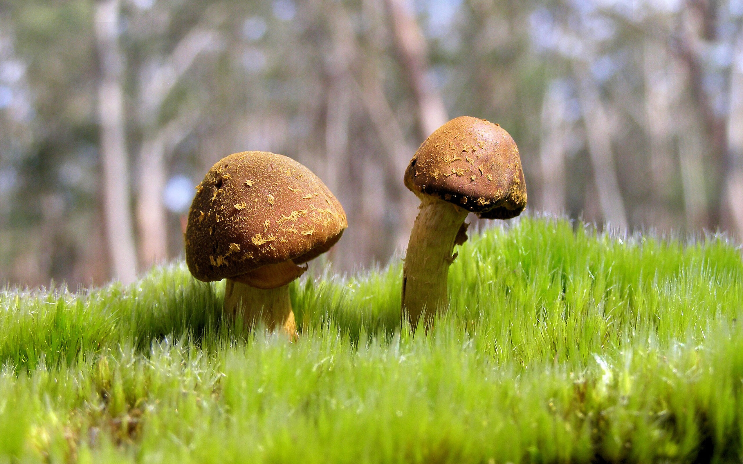 Leyu Sport下载-新加坡乒乓未来展望：如何在世界大赛中稳定发挥，突破自我，新加坡乒乓球运动