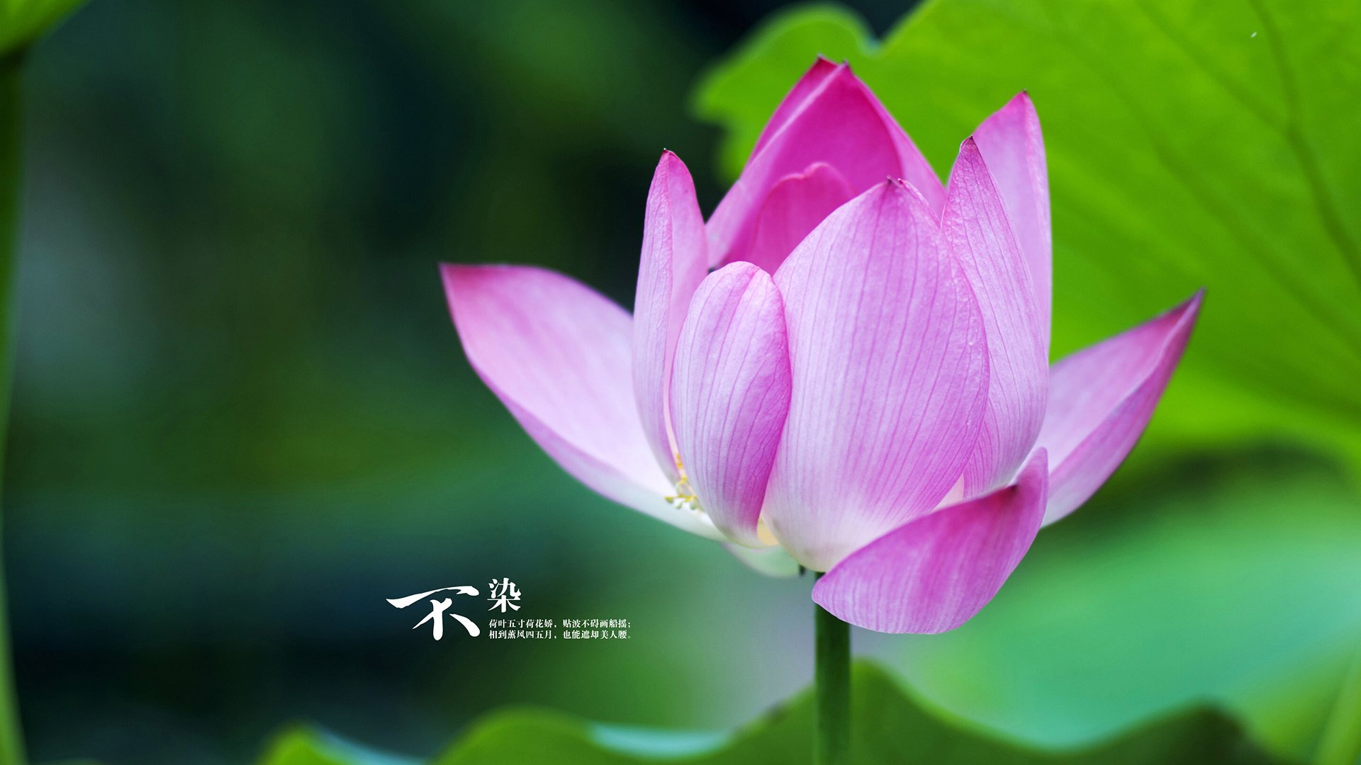 乐鱼体育登录-残奥会筹备工作有序推进，开展残奥会的意义