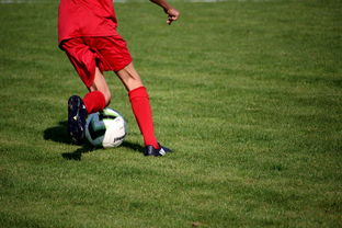 Leyu Sport下载-足球教练培训体系改革新方案出台，业余足球教练培训要求