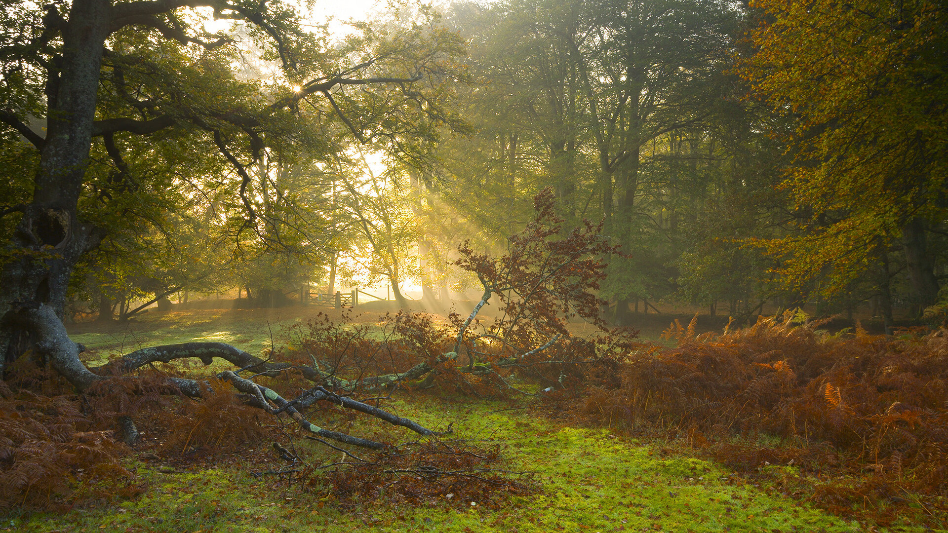 乐鱼体育APP官方下载-体育新闻中心发布全国体育类奖学金申报入口开放公告,体育奖学金多少钱