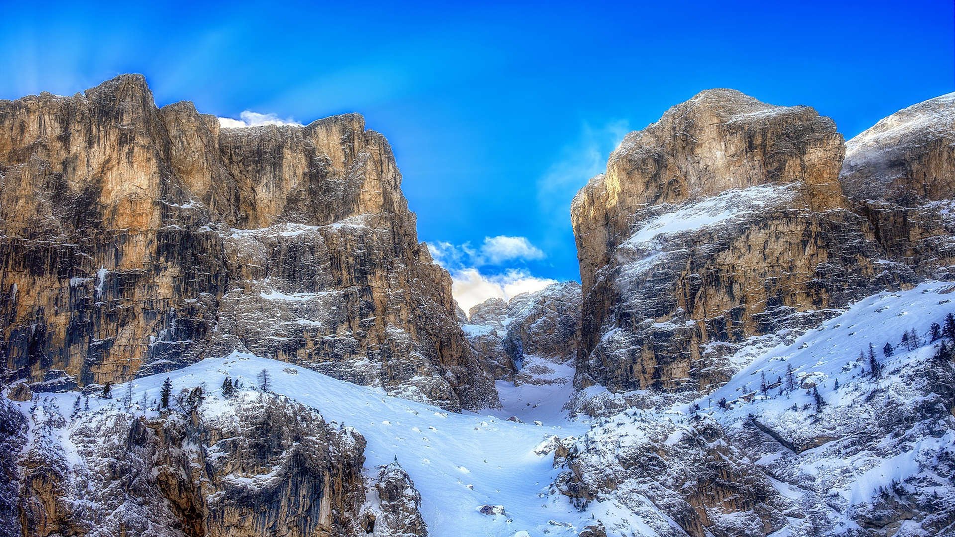 乐鱼官网-公牛助教亲自参与战术演练细节十足,公牛的主教练