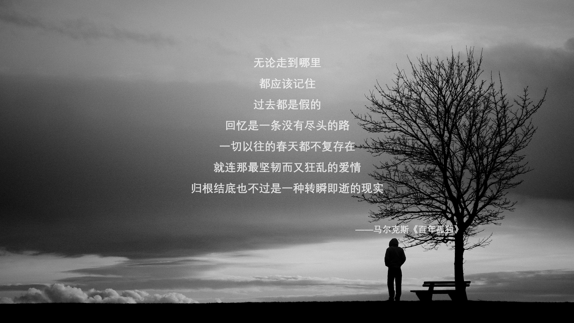 乐鱼(LEYU)体育-尼日利亚男篮在国际赛事中拼搏奋进,目标奥运,尼日利亚男篮崛起