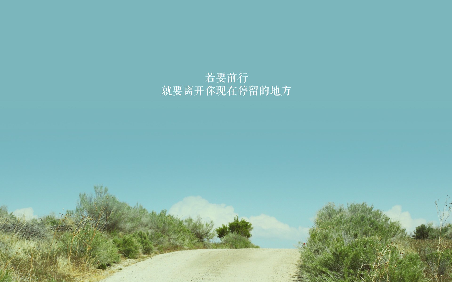 乐鱼(LEYU)体育-尼日利亚男篮在国际赛事中拼搏奋进,目标奥运,尼日利亚男篮崛起