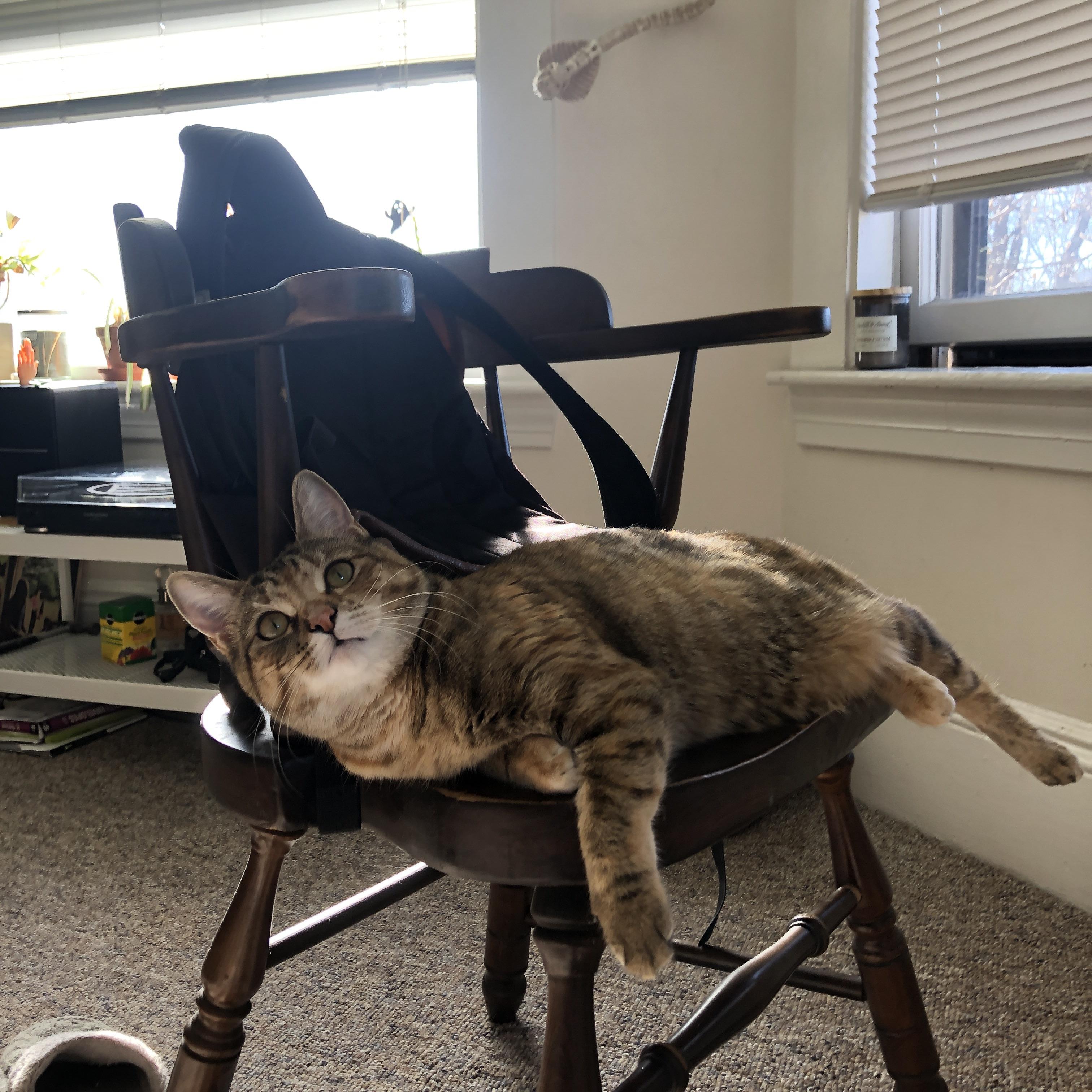 乐鱼体育APP官方下载-开拓者训练营首日气氛火爆,开拓者训练服