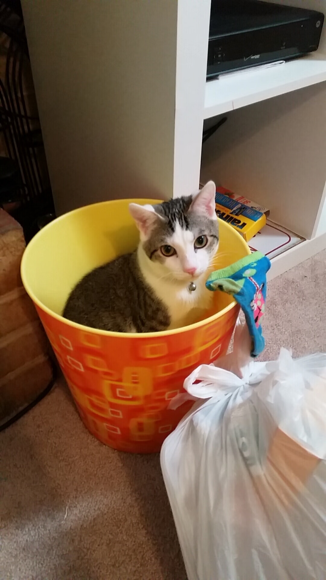 乐鱼电竞在线平台-技术动作动作数据与疲劳度关联,技术动作错误是