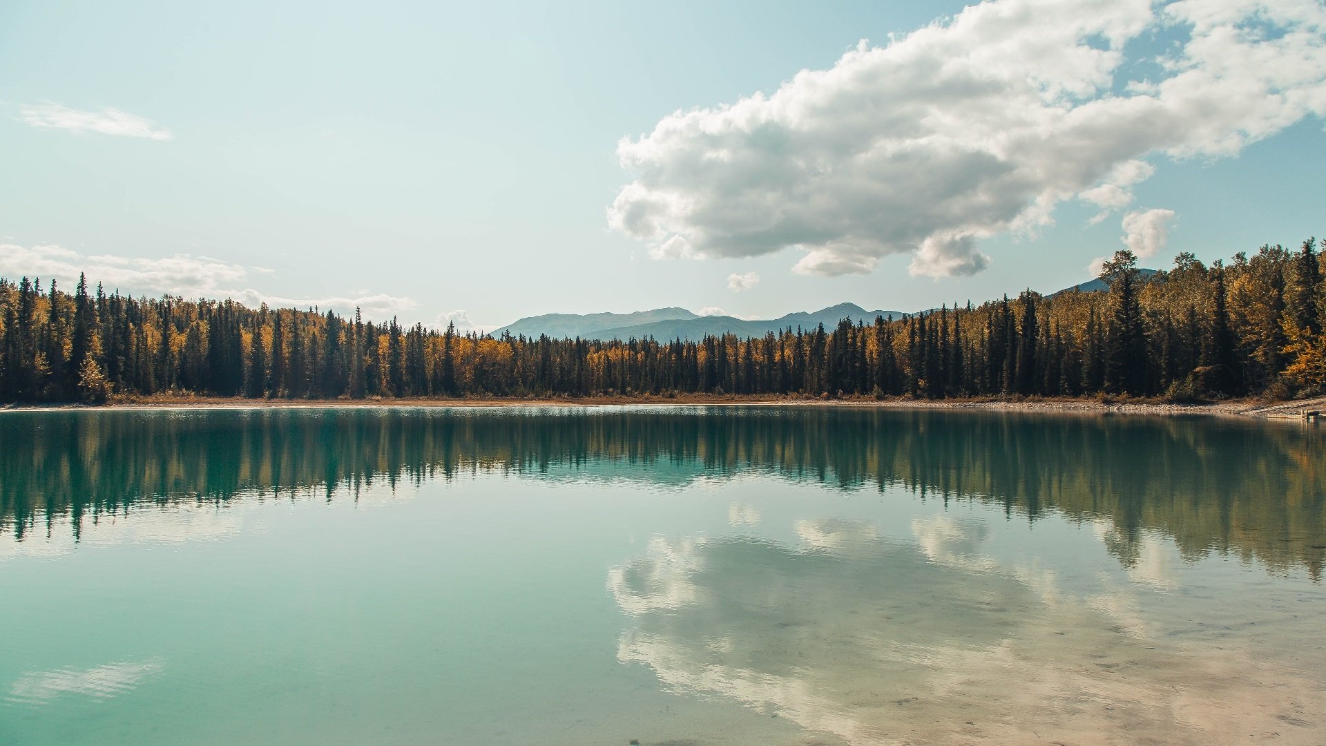 LEYU乐鱼体育官方网站-欧洲杯震撼现场：战术、速度、精彩纷呈！，欧洲杯比赛视频速98db in