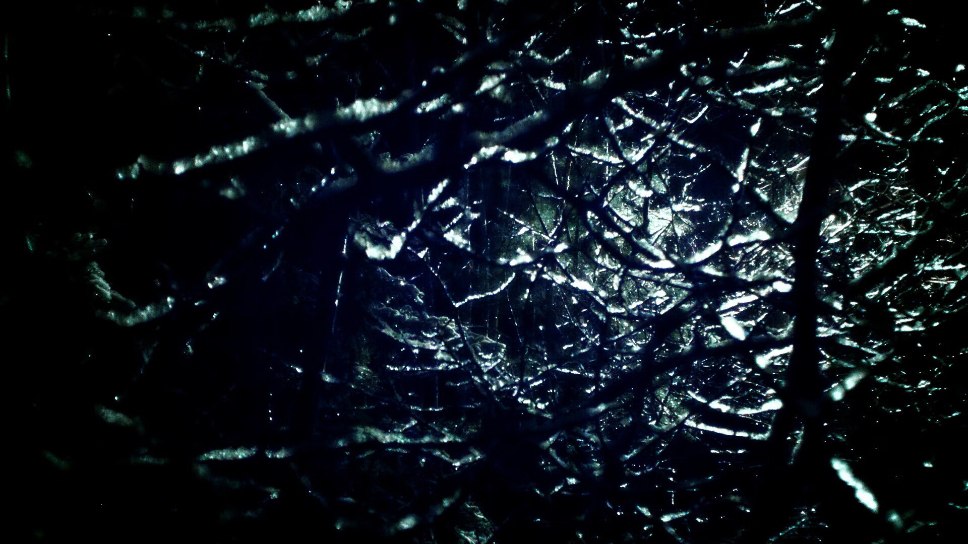 leyu.com-球员暑期公益训练营吸引数千名青少年参与，篮球公益项目