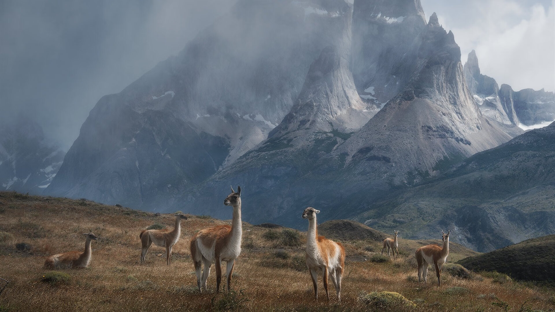 美国队接力发挥稳定赢得国际赞誉，美国队接力发挥稳定赢得国际赞誉的是谁