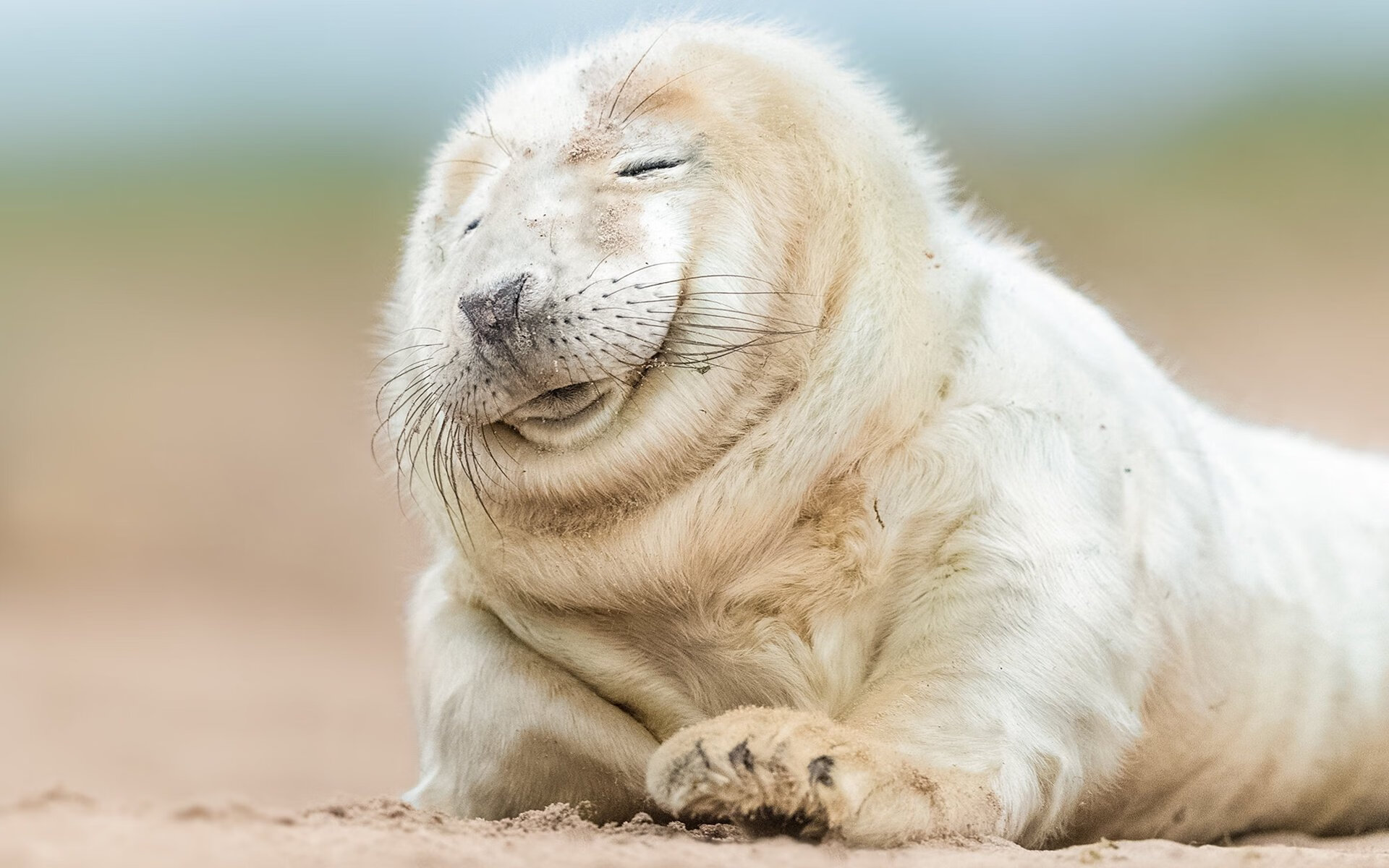 leyu.com-美洲杯激情四溢：明星秀场，精彩不断！，美洲 杯