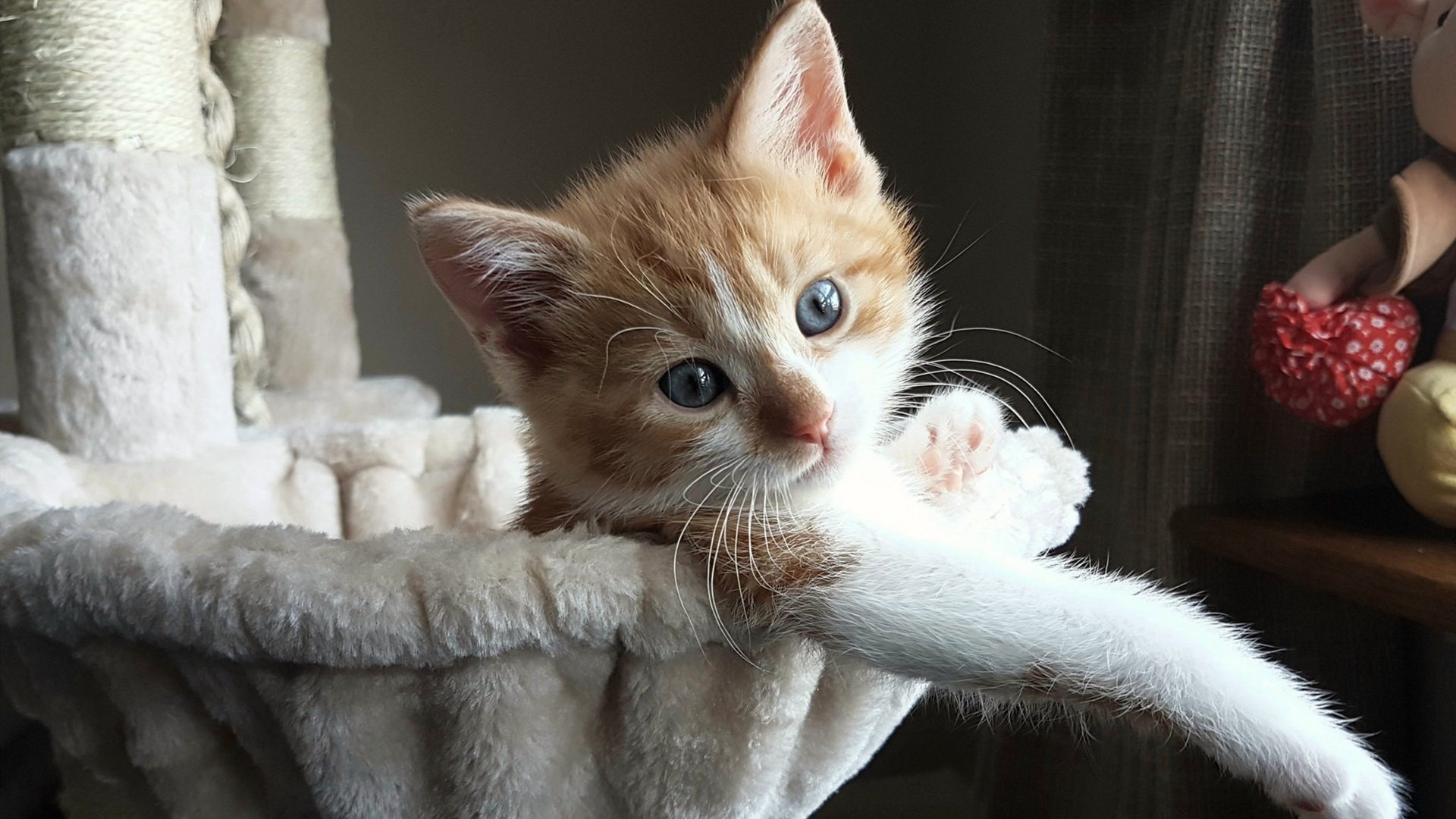 Leyu Sports (乐鱼体育)-职业俱乐部建设球员能力图谱提升训练目标针对性，职业球队的图片